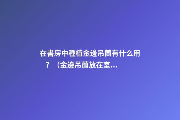 在書房中種植金邊吊蘭有什么用？（金邊吊蘭放在室內(nèi)好嗎）